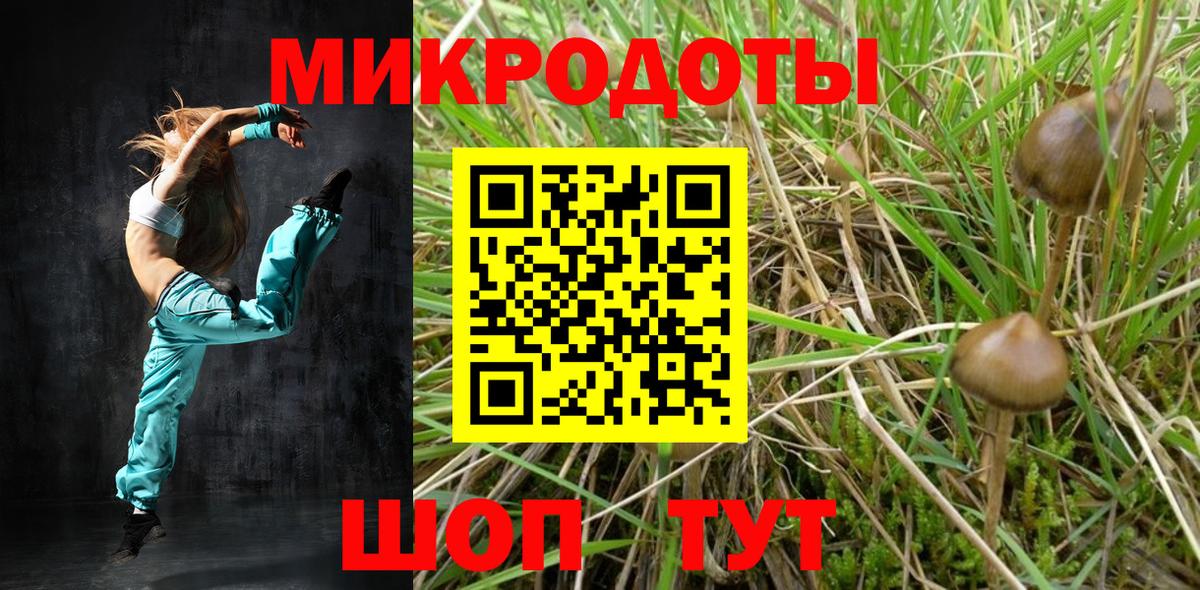 Псилоцибиновые грибы Cubensis Реж
