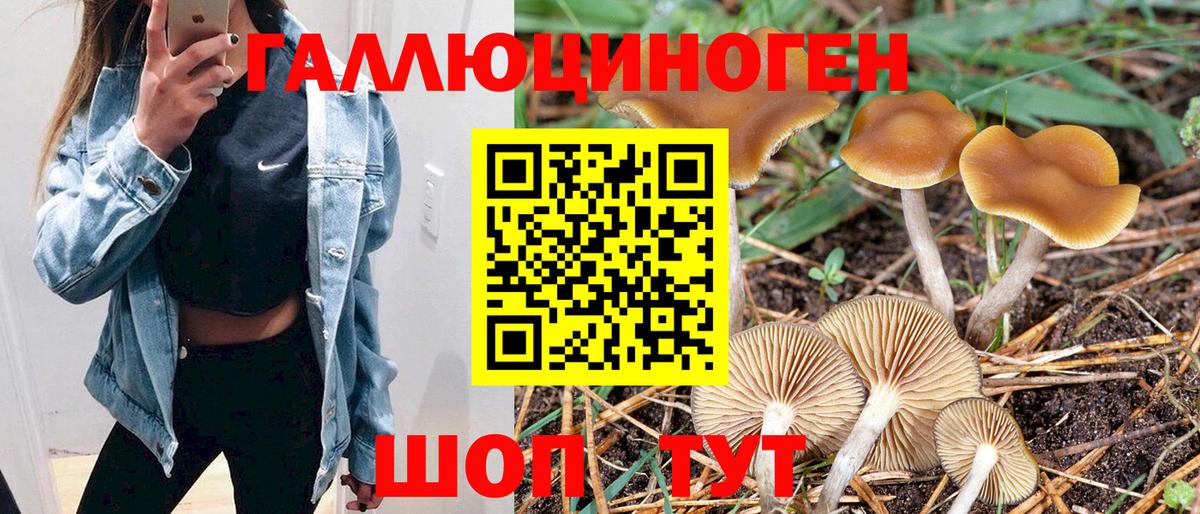 Реж  Галлюциногенные грибы MAGIC MUSHROOMS  Галлюциногенные грибы Psilocybe  закладки  Вход с VPN 